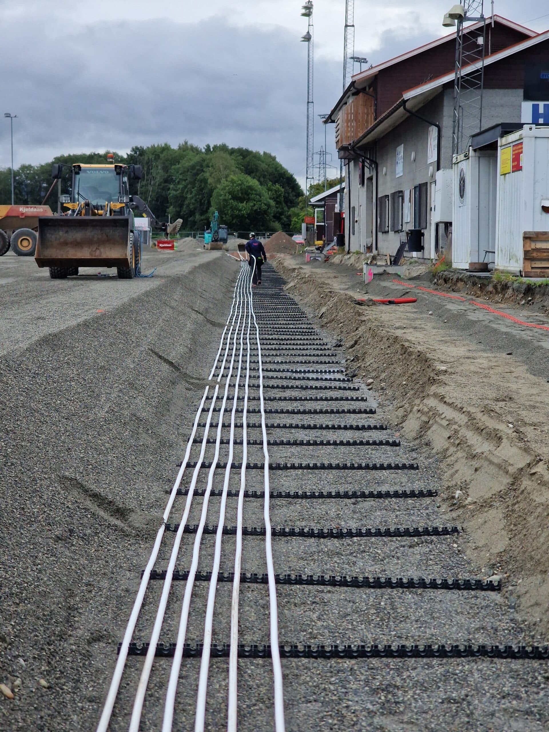 Vassenga (2025)